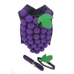 Grape Cluster Halloween Costume for Your Pet   Small (Chest 13 16)