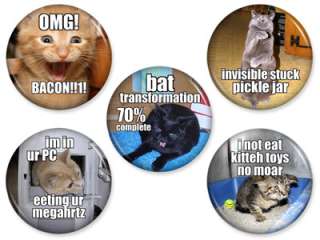 LOL CAT MAGNETS Set #3 Lolcat Internet Meme Humor Funny Kitty Kitteh 