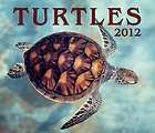 turtle calendar  