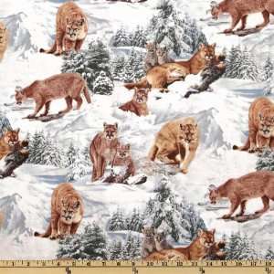 44 Wide North American Wildlife Winter Mountain Lions White Fabric 