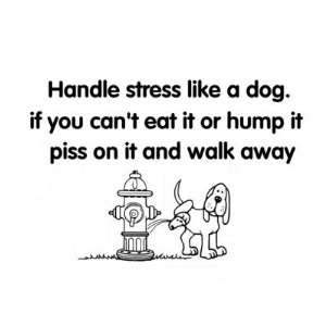Handle stress like a dog Magnets 