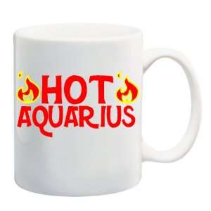   AQUARIUS Mug Coffee Cup 11 oz ~ Astrology Birthday 