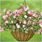 cobraco hanging baskets are perfect to show off your seasonal foliage 