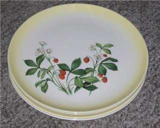Taylor Smith TST Strawberry Band Yellow Dinner Plates  