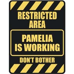   RESTRICTED AREA PAMELIA IS WORKING  PARKING SIGN