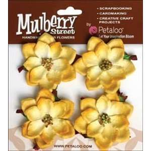 Mulberry Street Mini Magnolia 4/Pkg