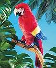 folkmanis scarlet macaw parrot puppet plush new 