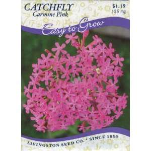  Catchfly   Carmine Pink (Annual) Patio, Lawn & Garden
