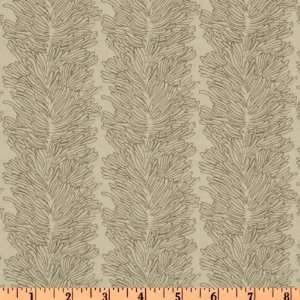  44 Wide Parson Gray Curious Nature Coral Reef Bone 