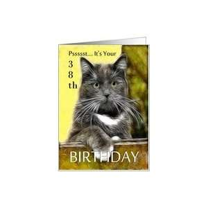    Birthday ~ Age Specific 38th ~ Cat in a box Card Toys & Games