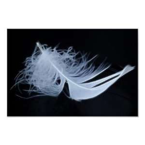 White feather   angelic by nature Poster