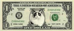RAGDOLL CAT Novelty U.S. Dollar Bill Bookmark  
