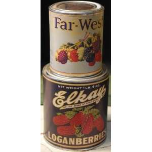 Set of Two Replica Pantry Cans  Grocery & Gourmet Food
