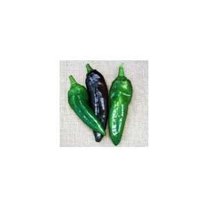  Peppers   Anaheim TMR Hot Peppers Seeds Patio, Lawn 