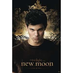  Twilight 2 New Moon (Jacob) Finest LAMINATED Print 