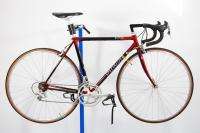 Vintage 1994 Specialized Epic Steel Road Bicycle Campagnolo Veloce 
