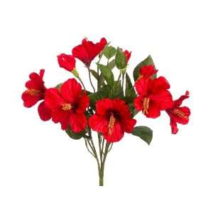  14 Hibiscus Bush X6 W/Bud Red (Pack of 12) Everything 