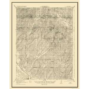  USGS TOPO MAP SAN MIGUEL QUAD CALIFORNIA (CA) 1919