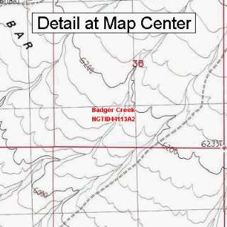  USGS Topographic Quadrangle Map   Badger Creek, Idaho 