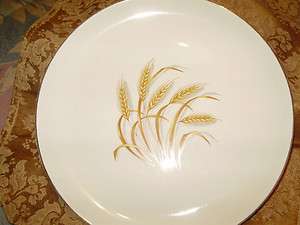 Golden Wheat dinner plate   22 Karat gold trim plate  
