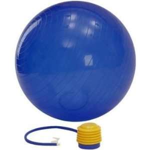  Flexaball 65cm Exercise Ball