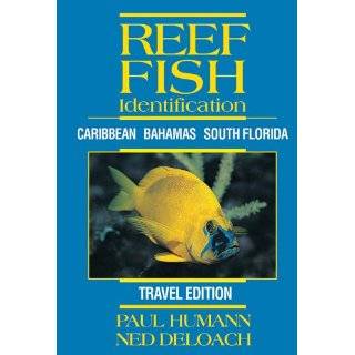 Reef Fish Identification   Travel Edition   Caribbean Bahamas South 