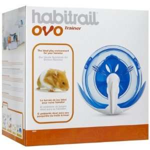  Ovo Club Trainer (Quantity of 2)