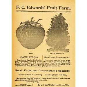  1893 Ad F.C. Edwards Fruit Farm Fort Atkinson Wisconsin 