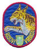 SERBIA ARMY   VRS / AIR FORCE   PILOT ,sleeve patch  