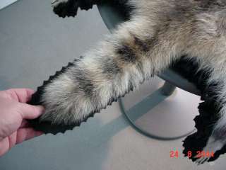 RACCOON RUG FUR for LOG CABIN DECOR or Game/sports room  