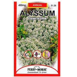 Ferry Morse Alyssum Carpet of Snow Seed 8029  