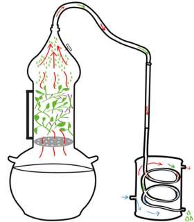 Destille mit Kolonne 5 L, Al Ambik® Markenqualität 4260195310520 