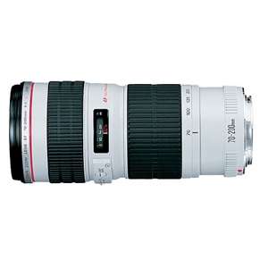 Canon Zoom Telephoto EF 70 200mm f/4.0L USM Autofocus Lens at 