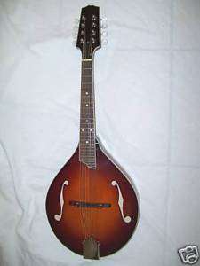 Mandolin, A style, with case, Hand carved  