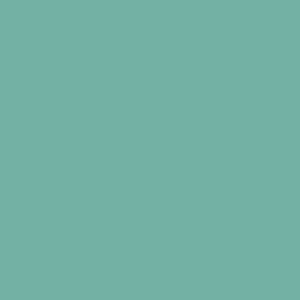   Stewart Living8 oz. Araucana Teal Interior Paint Tester # MSH136