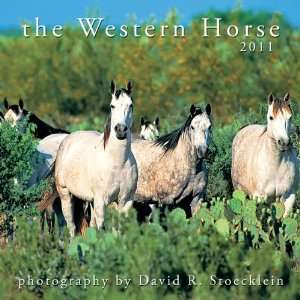 2011 Western Horse Calendar  David R. Stoecklein Englische 