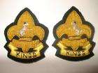 Kings Mess Dress Collar Badges, Army, Regiment, Pair