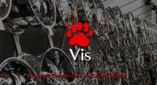La V.I.S. Srl si presenta come azienda specializata nella 