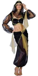 Arabian Princess Belly Dancer Fancy Dress Costume  