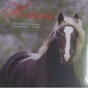  HORSES 12 Month Calendar 2012