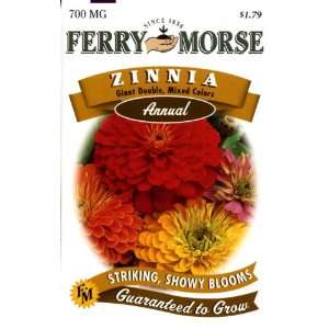  Ferry Morse Annual Flower Seeds 1173 Zinnia   Giant Double 