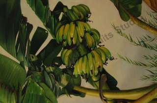 Still Life Banana Tree Original Canvas Oil Painting XL  
