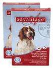 ADVANTAGE BOX FOR DOGS 21   55 LBS 12 MONTH SUPPLY EPA  