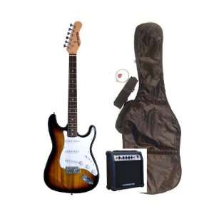   Whammy Bar, Strap, Cable, Pick, Strings, eBook, Free Mini Rubber