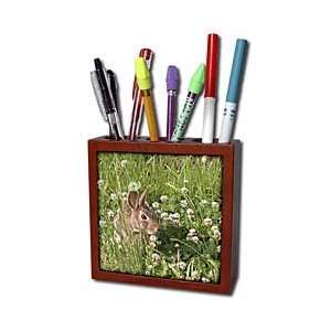   Bunny in the Clover   Tile Pen Holders 5 inch tile pen holder Office