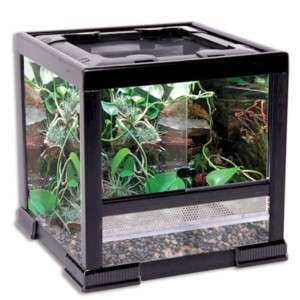 NEW TEMPERED GLASS VENTED REPTILE CAGE TERRARIUM ECO SYSTEM 12X12X12 