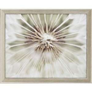  Dandelion II by Miller Candice Olson Art   26 x 32