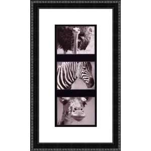   Safari Triptych I by Deborah Wilson   Framed Artwork