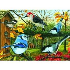Outset Media Games High quality Cobble Hill Blue Jay & Friends Puzzle 