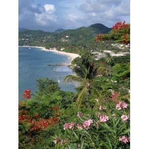  Grand Anse Beach, Grenada, Windward Islands, West Indies 